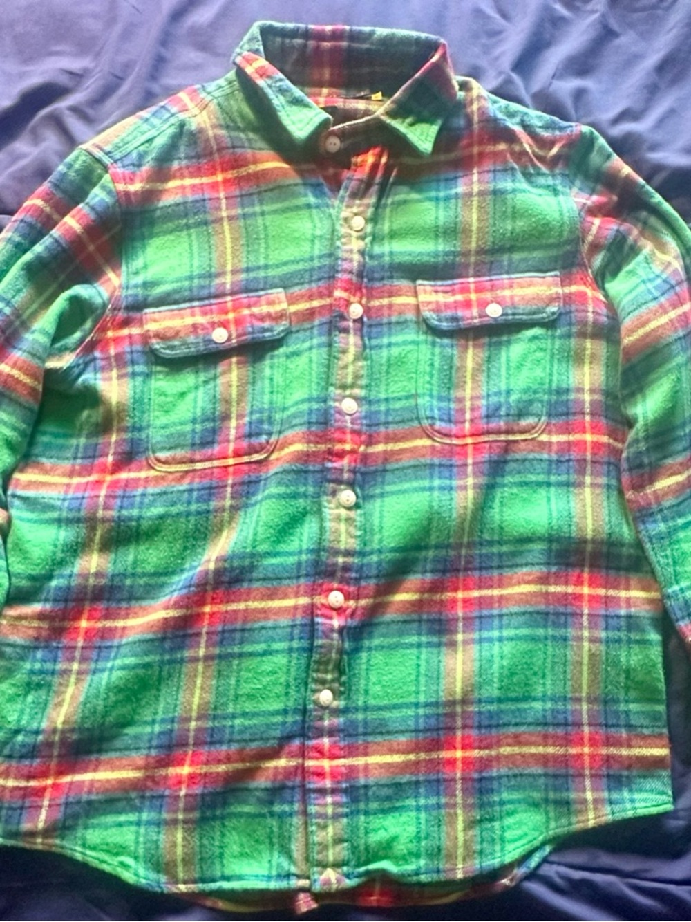 Polo by Ralph Lauren Green Plaid Button-Down Shirt